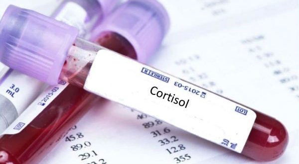 Resultado de imagem para cortisol