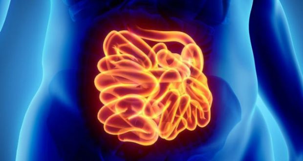 Inflamação no Intestino - Sintomas, Causas e Tratamento - MundoBoaForma ...