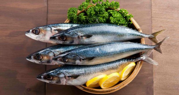 Todo Peixe Tem Ômega-3? - MundoBoaForma.com.br