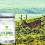 Deer Antler Velvet - O Que é, Para Que Serve, Efeitos Colaterais e Como Usar