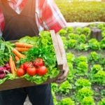 10 Alimentos que Você Deveria Considerar Comprar Orgânicos