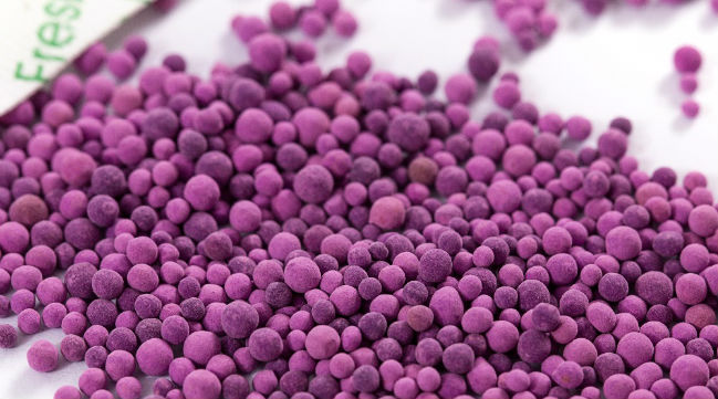 Catapora banho de com permanganato potassio