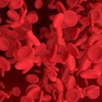 anemia glóbulos vermelhos