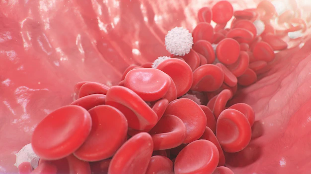 anemia células sanguíneas