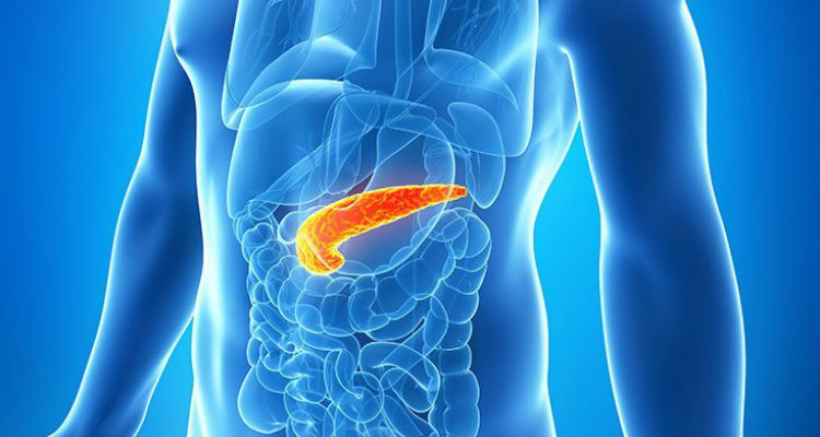pancreatitis dieta mayo clinic