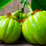 Garcinia Cambogia