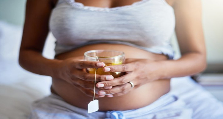 Grávida Pode Tomar Chá-Mate? - MundoBoaForma