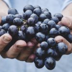 Uva com resveratrol