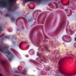 Coronavírus e Tipos Sanguíneos: Qual a Relação?