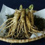 Ginseng