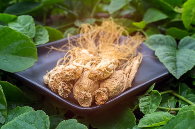 Ginseng