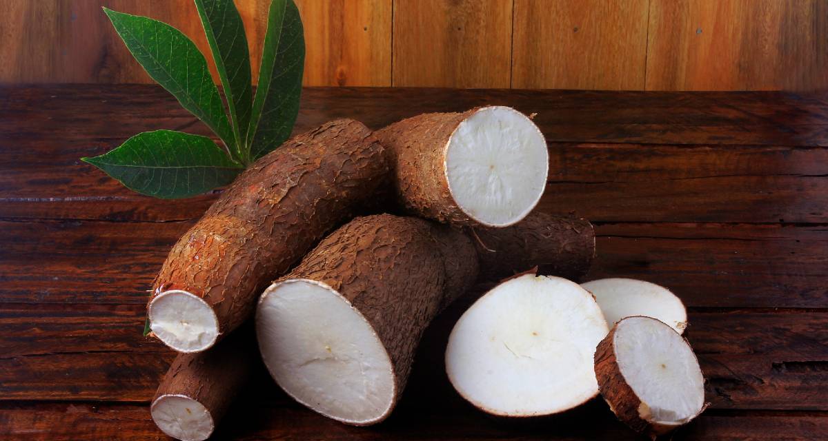 6 Beneficios Da Farinha De Puba Como Fazer E Receitas Mundoboaforma