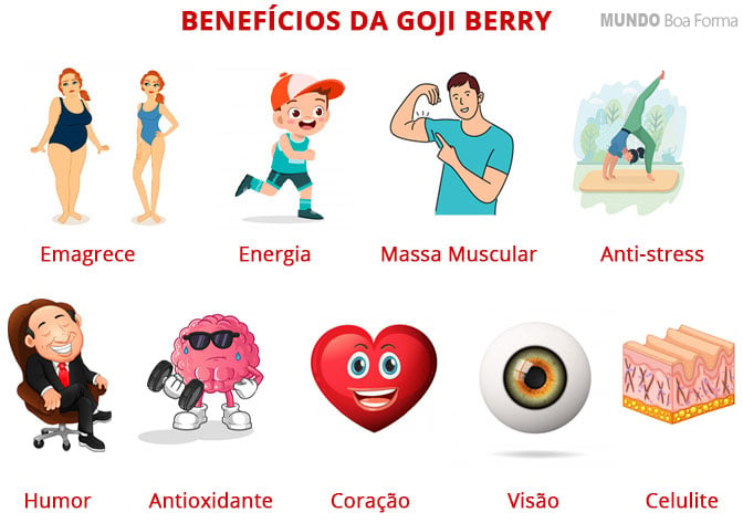 Benefícios da Goji Berry
