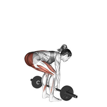 Levantamento Terra (Deadlift)