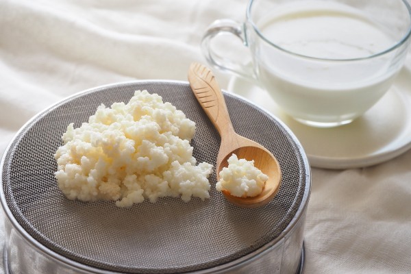 Kefir: morreu ou estragou?