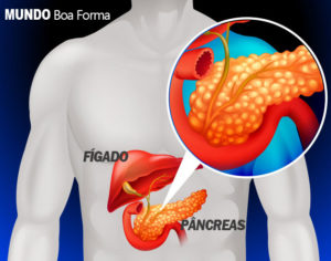 Lipase alta - O que é, causas e tratamento - MundoBoaForma