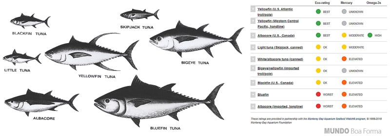 tipos de atum e toxicidade