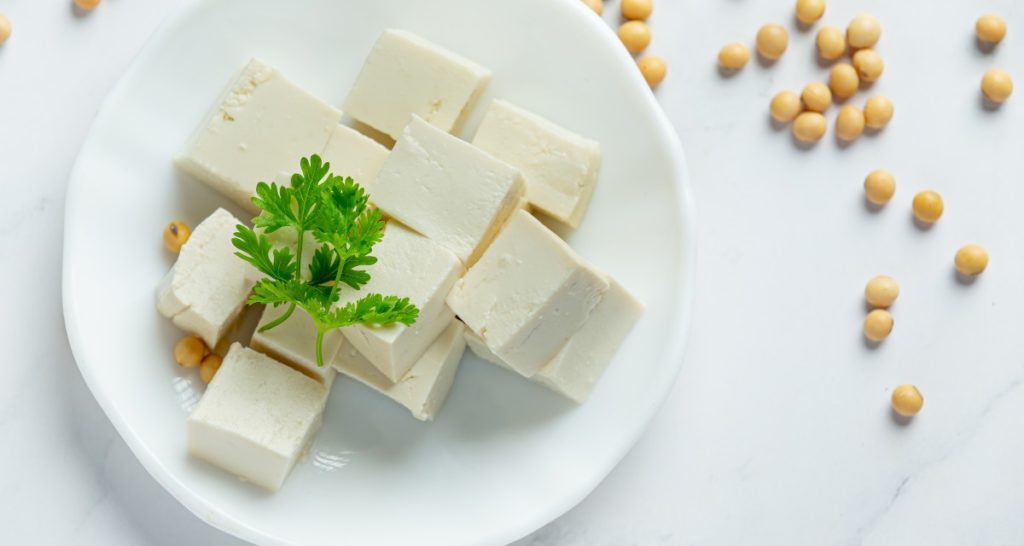 Receita de tofu em casa - Somente 3 ingredientes - MundoBoaForma