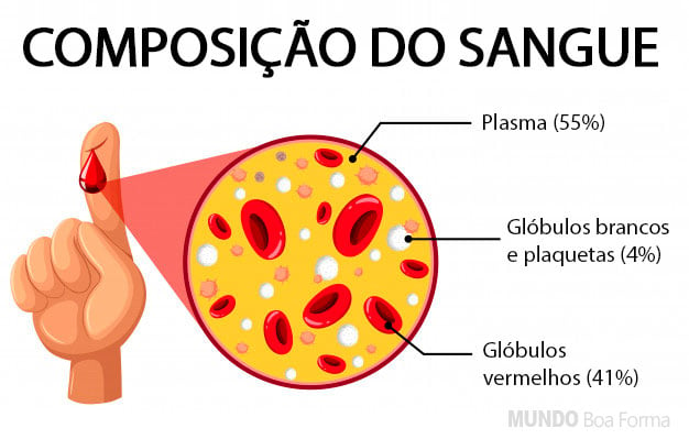 composição do sangue