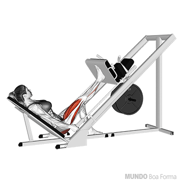 Leg press 45 unilateral