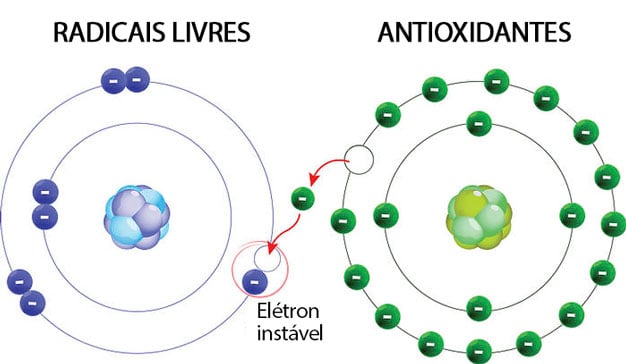 radicais livres ilustração