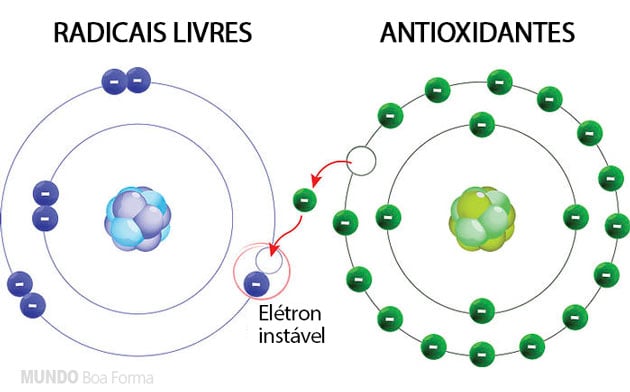 antioxidantes em ação sobre os radicais livres