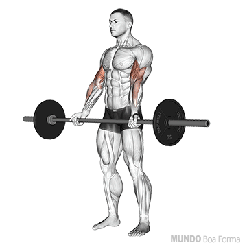 Rosca bíceps direta com barra e pegada ampla