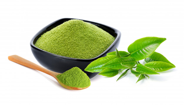 chá verde matcha camellia sinensis