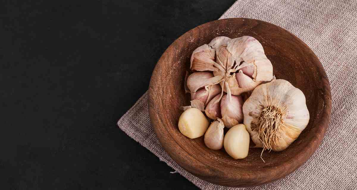 Alho E Bom Para Gastrite Pode Fazer Mal Mundoboaforma