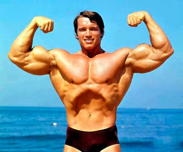 Arnold Schwarzenegger adulto