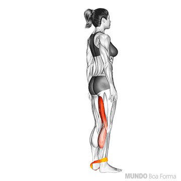 Flexão de pernas com faixa elástica