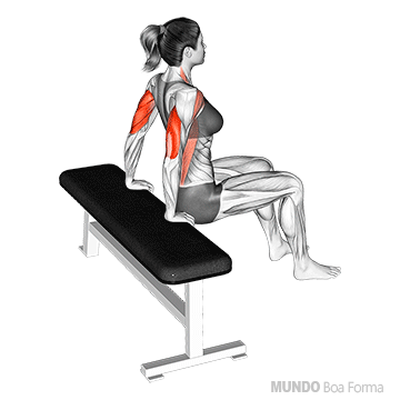 exercício para fazer em casa bench dips