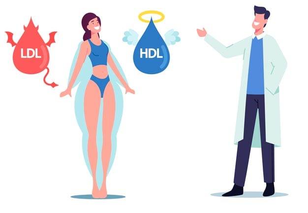 colesterol hdl e ldl