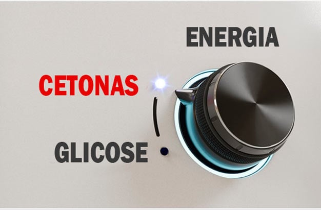energia cetonas glicose