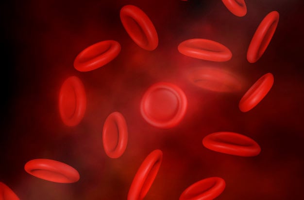 sangue e glóbulos vermelhos