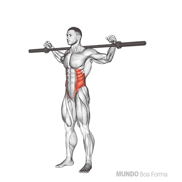 Barra abdominal cheap