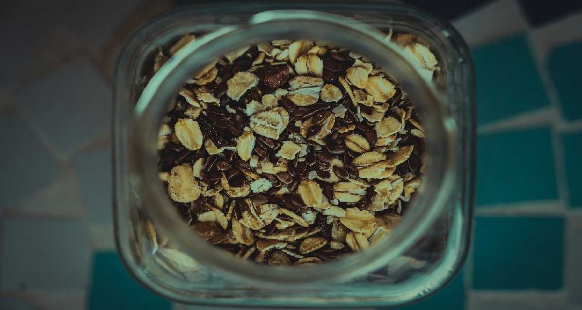 Granola low carb