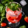 Mojito low carb