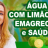 capa agua com limão