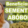 video benefícios semente abóbora