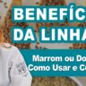 video benefícios da linhaça
