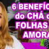 vídeo benefícios do chá das folha da amora