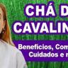 capa video chá de cavalinha