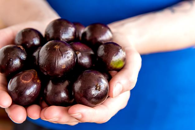 Jabuticaba