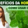 beneficios da hortelã