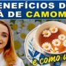 capa vídeo chá de camomila