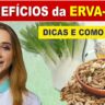 capa vídeo benefícios da erva-doce