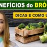 capa vídeo benefícios do brócolis