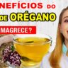 capa vídeo benefícios chá de orégano