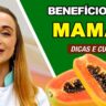 benefícios do mamão